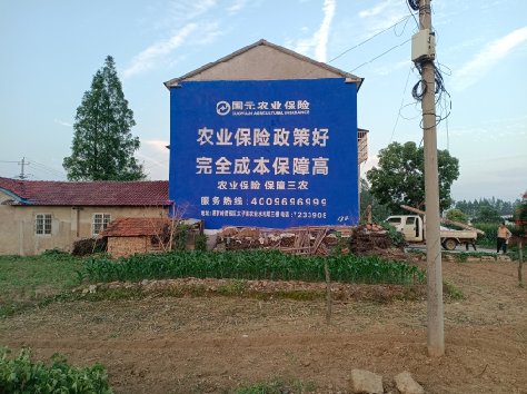 营山县墙体广告的优劣势你知道吗？